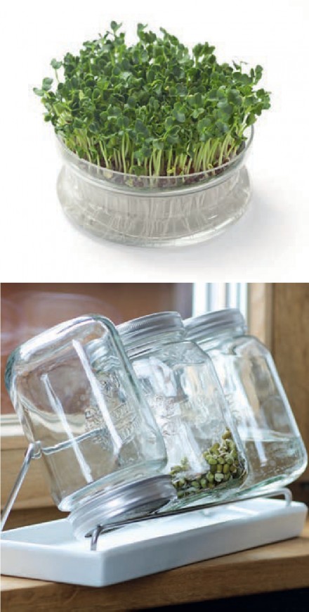 Zdj. 4. Można też wykorzystać specjalne słoiki z perforowaną, pełniącą funkcję sitka przykrywką. 